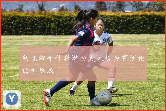 约克称舍什科潜力更大视为霍伊伦的升级版