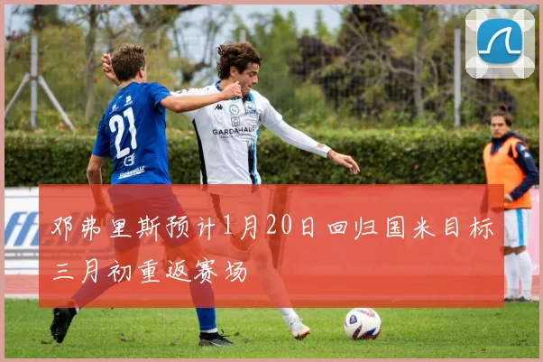 邓弗里斯预计1月20日回归国米目标三月初重返赛场