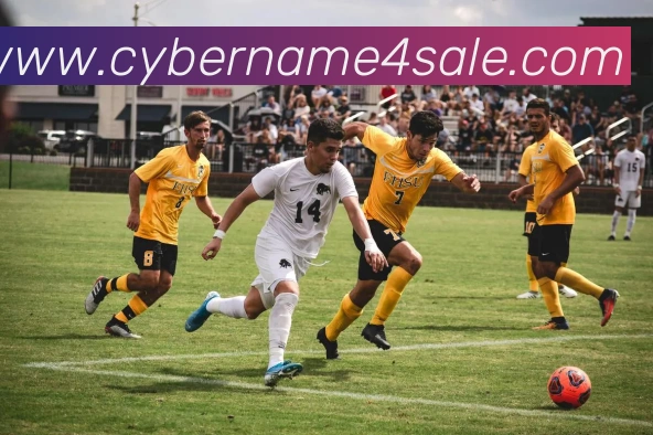 战术演练