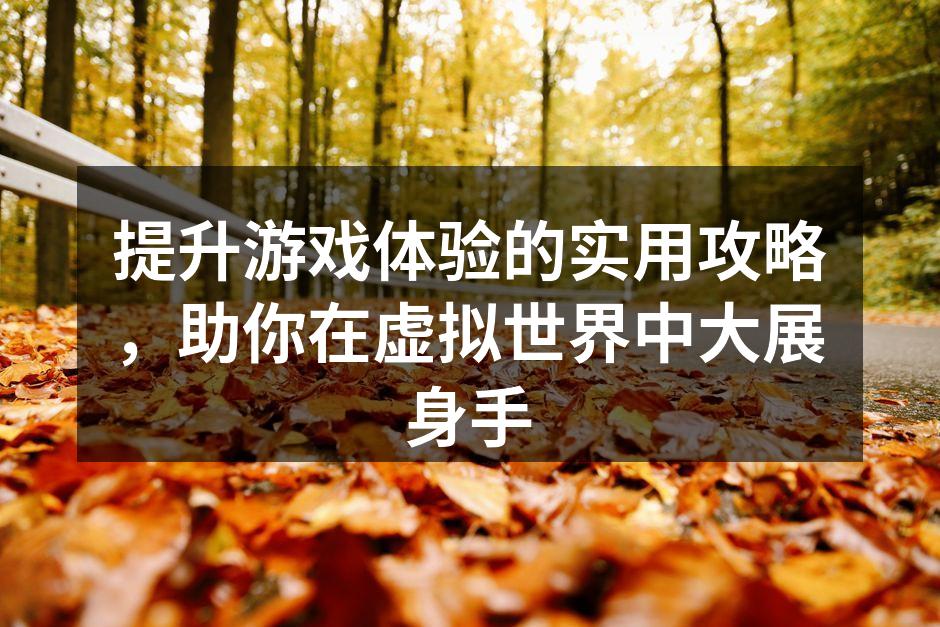 游戏角色技能搭配示意图