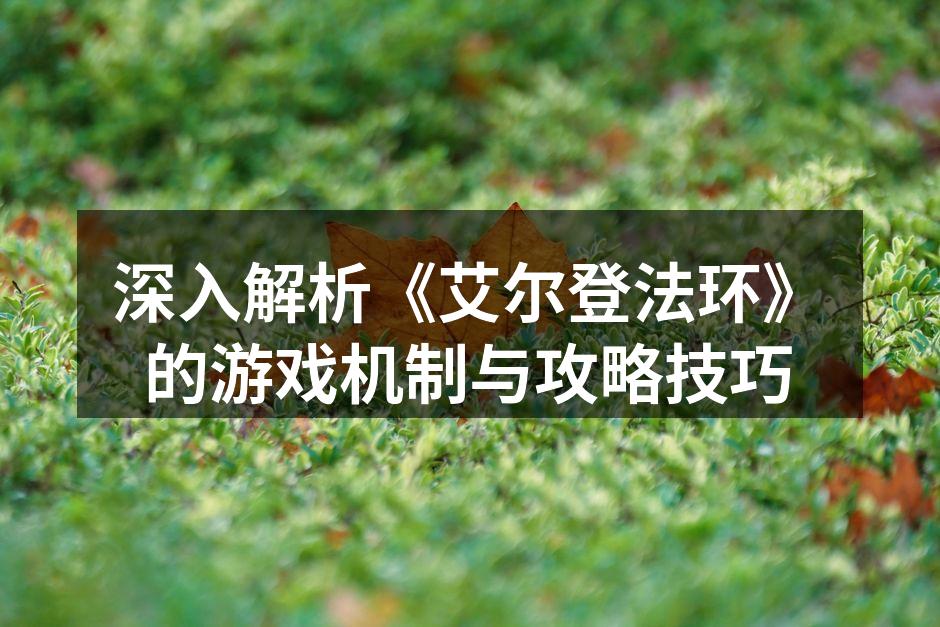 深入解析《艾尔登法环》的游戏机制与攻略技
