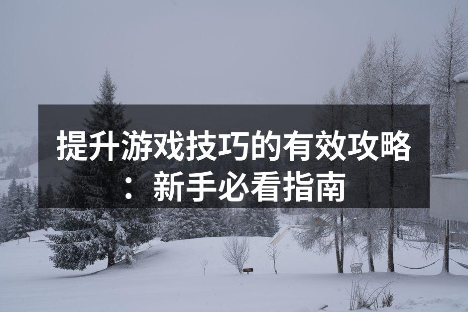 提升游戏技巧的有效攻略：新手必看指南