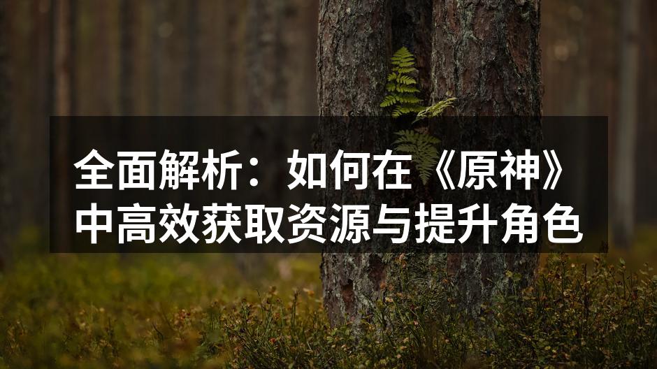 探索提瓦特大陆，寻找隐藏的宝箱